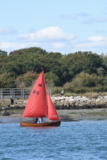 Sail boats in Chichester Harbour